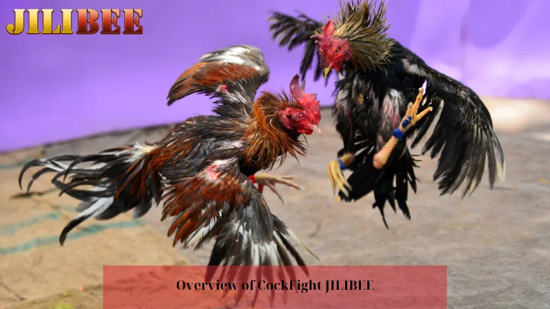 free bonus 100 no deposit